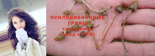 дмт Алексин