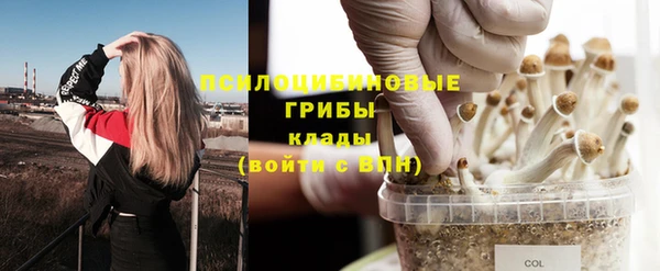 каннабис Алексеевка