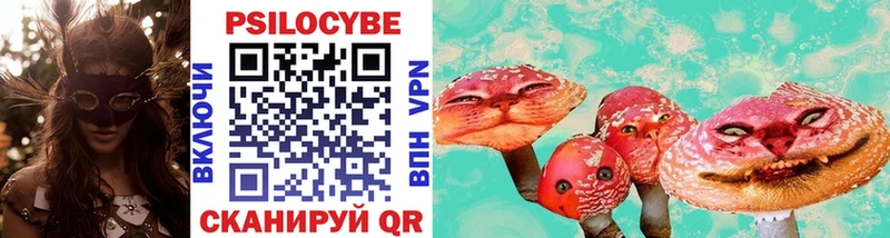 Галлюциногенные грибы Psilocybine cubensis купить наркотики сайты Уяр